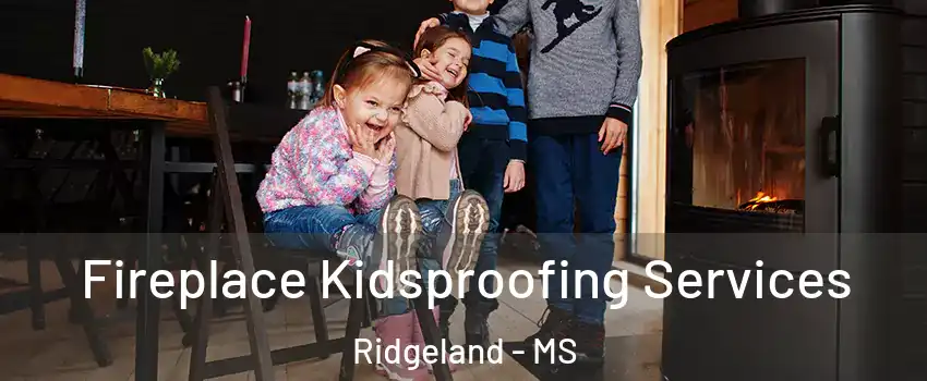  Fireplace Kidsproofing Services Ridgeland - MS