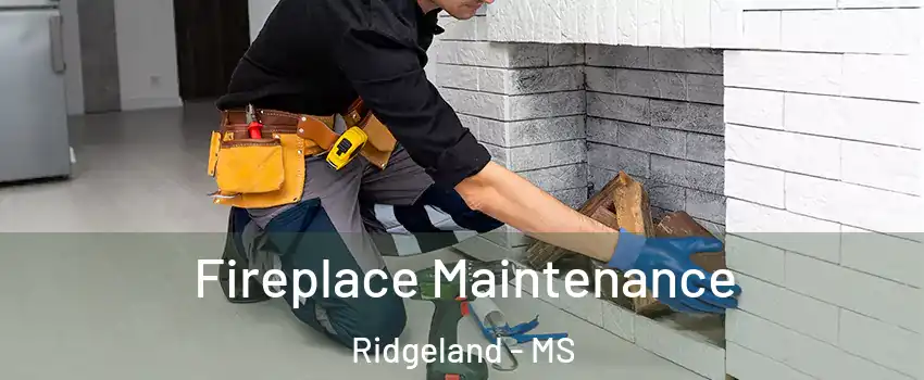  Fireplace Maintenance Ridgeland - MS