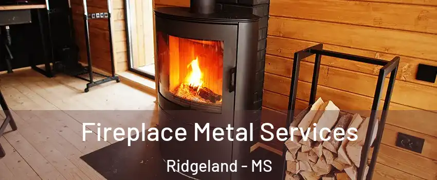 Fireplace Metal Services Ridgeland - MS