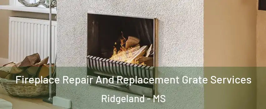  Fireplace Repair And Replacement Grate Services Ridgeland - MS