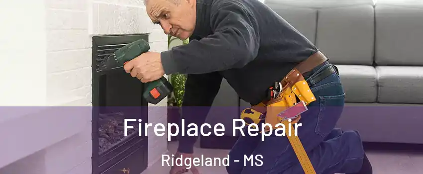  Fireplace Repair Ridgeland - MS