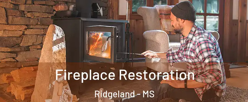  Fireplace Restoration Ridgeland - MS