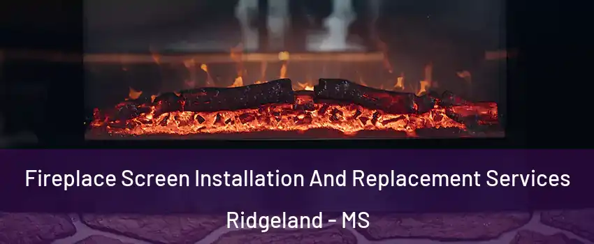  Fireplace Screen Installation And Replacement Services Ridgeland - MS