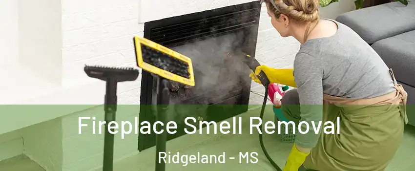  Fireplace Smell Removal Ridgeland - MS