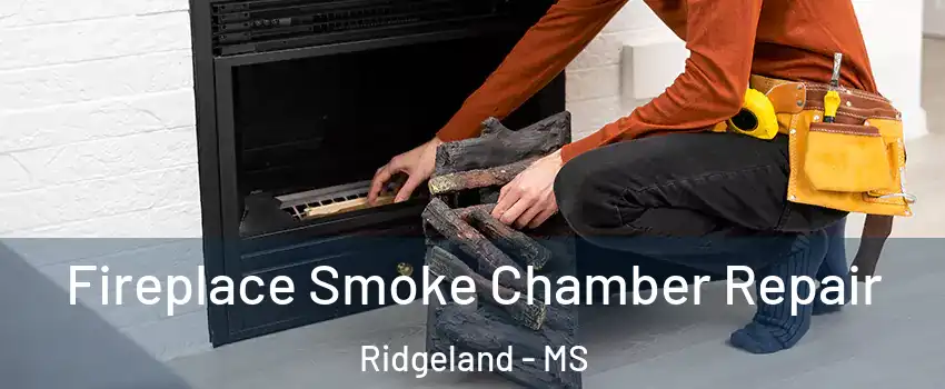  Fireplace Smoke Chamber Repair Ridgeland - MS