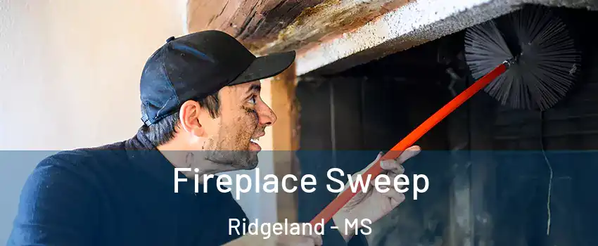  Fireplace Sweep Ridgeland - MS