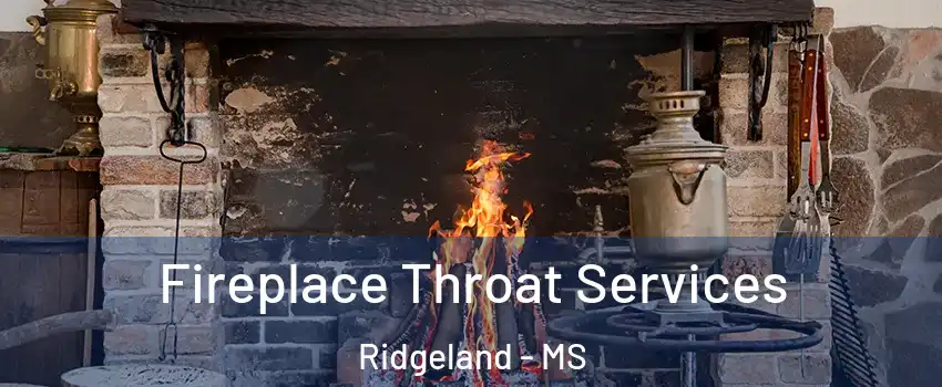  Fireplace Throat Services Ridgeland - MS