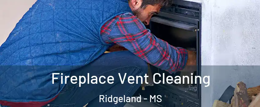  Fireplace Vent Cleaning Ridgeland - MS