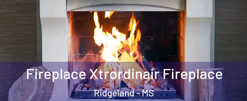  Fireplace Xtrordinair Fireplace Ridgeland - MS