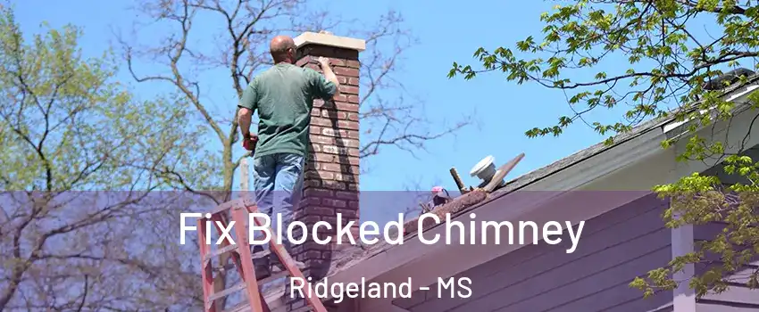  Fix Blocked Chimney Ridgeland - MS