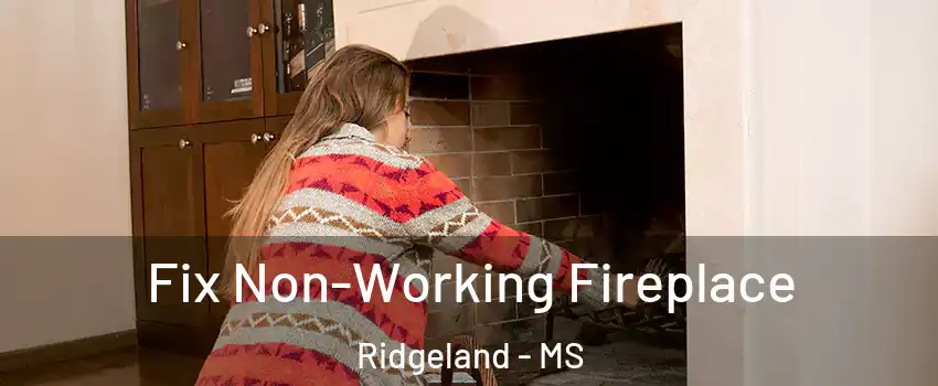  Fix Non-Working Fireplace Ridgeland - MS