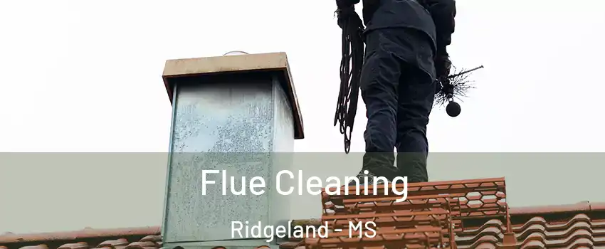  Flue Cleaning Ridgeland - MS