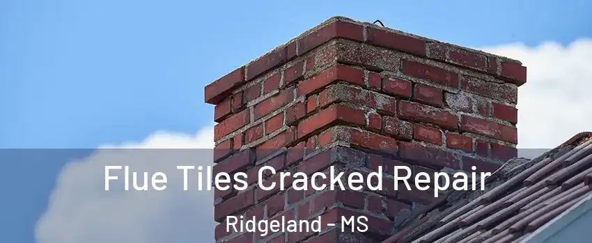  Flue Tiles Cracked Repair Ridgeland - MS