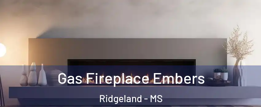  Gas Fireplace Embers Ridgeland - MS