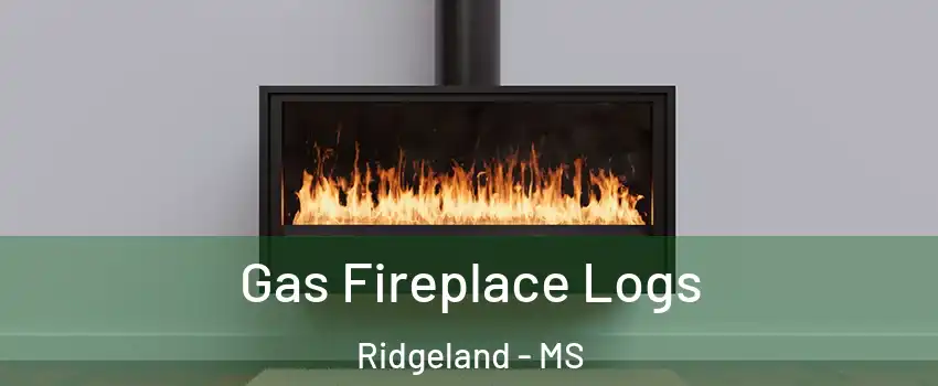  Gas Fireplace Logs Ridgeland - MS
