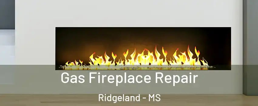  Gas Fireplace Repair Ridgeland - MS