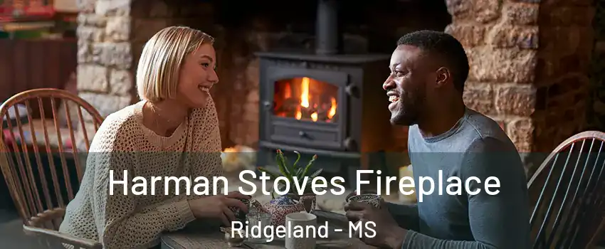  Harman Stoves Fireplace Ridgeland - MS
