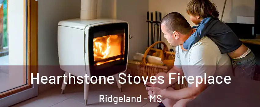  Hearthstone Stoves Fireplace Ridgeland - MS