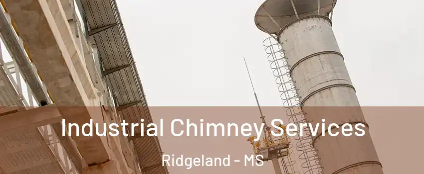  Industrial Chimney Services Ridgeland - MS