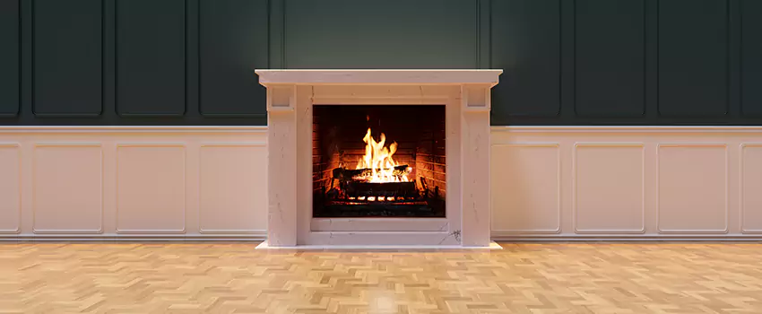 Napoleon Electric Fireplaces Inspection Service in Ridgeland, Mississippi