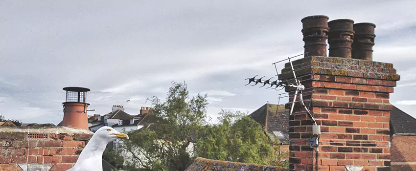 Chimney Cleaning And Restoration in Ridgeland, Mississippi