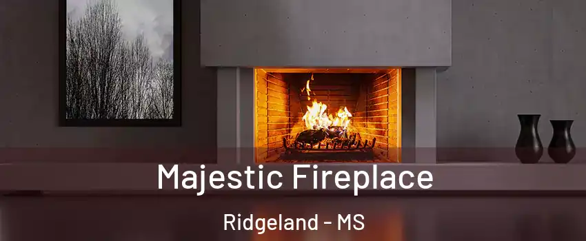 Majestic Fireplace Ridgeland - MS