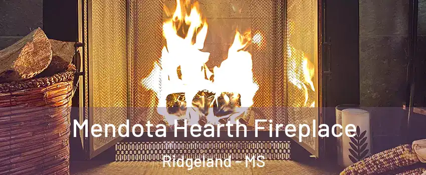  Mendota Hearth Fireplace Ridgeland - MS