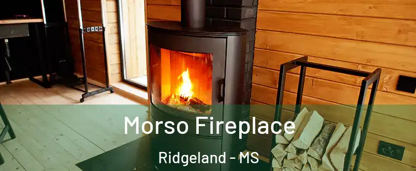  Morso Fireplace Ridgeland - MS