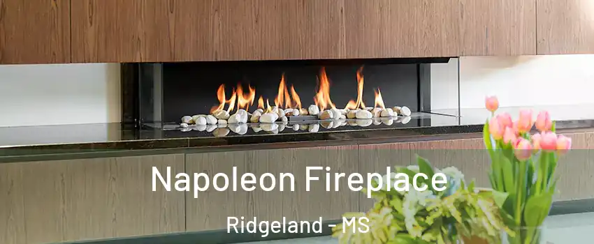  Napoleon Fireplace Ridgeland - MS