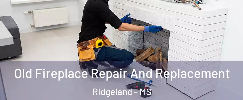  Old Fireplace Repair And Replacement Ridgeland - MS