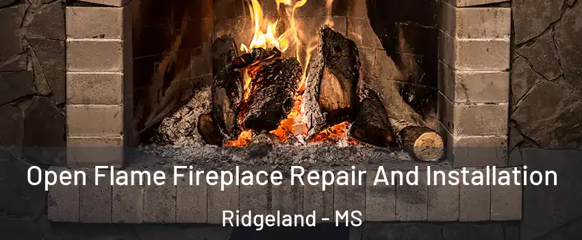  Open Flame Fireplace Repair And Installation Ridgeland - MS