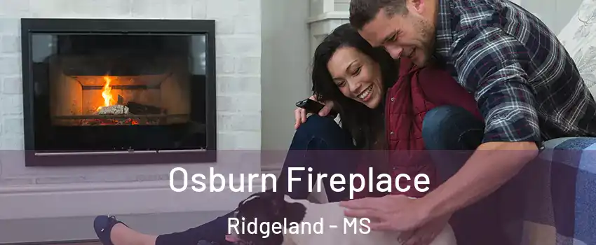  Osburn Fireplace Ridgeland - MS