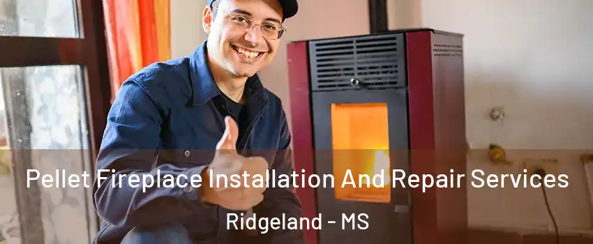  Pellet Fireplace Installation And Repair Services Ridgeland - MS