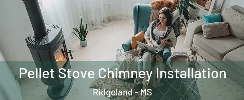  Pellet Stove Chimney Installation Ridgeland - MS