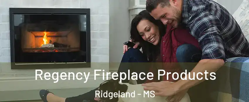  Regency Fireplace Products Ridgeland - MS