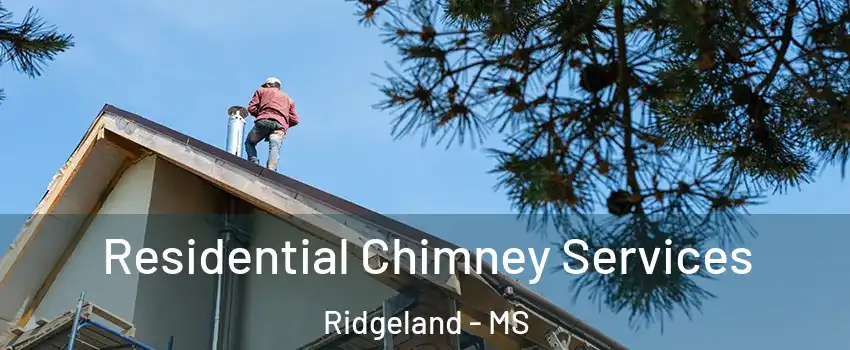  Residential Chimney Services Ridgeland - MS
