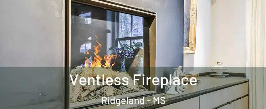  Ventless Fireplace Ridgeland - MS