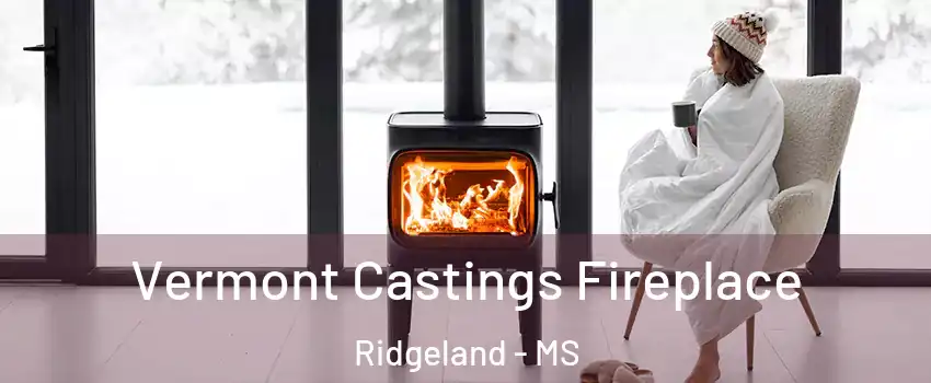  Vermont Castings Fireplace Ridgeland - MS