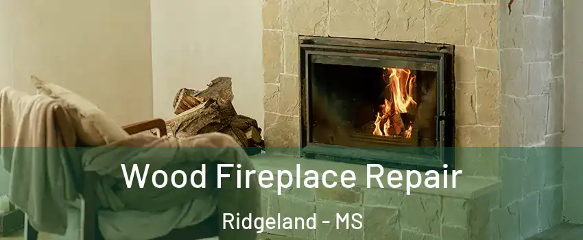  Wood Fireplace Repair Ridgeland - MS
