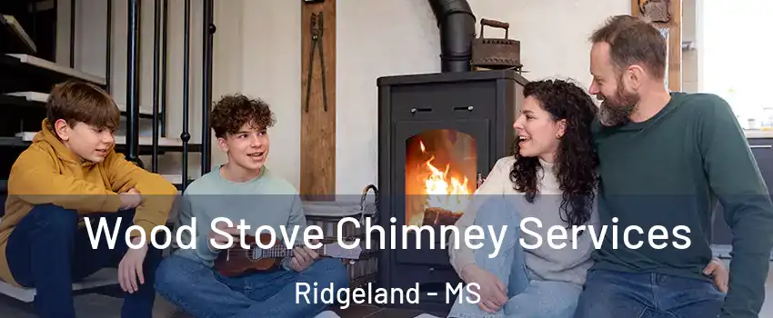  Wood Stove Chimney Services Ridgeland - MS