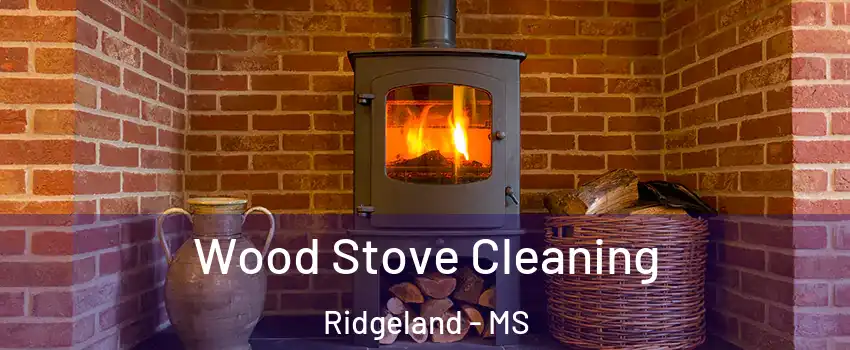  Wood Stove Cleaning Ridgeland - MS