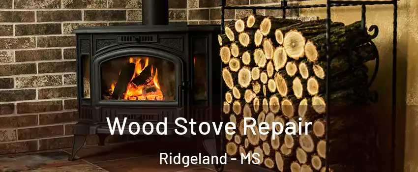  Wood Stove Repair Ridgeland - MS